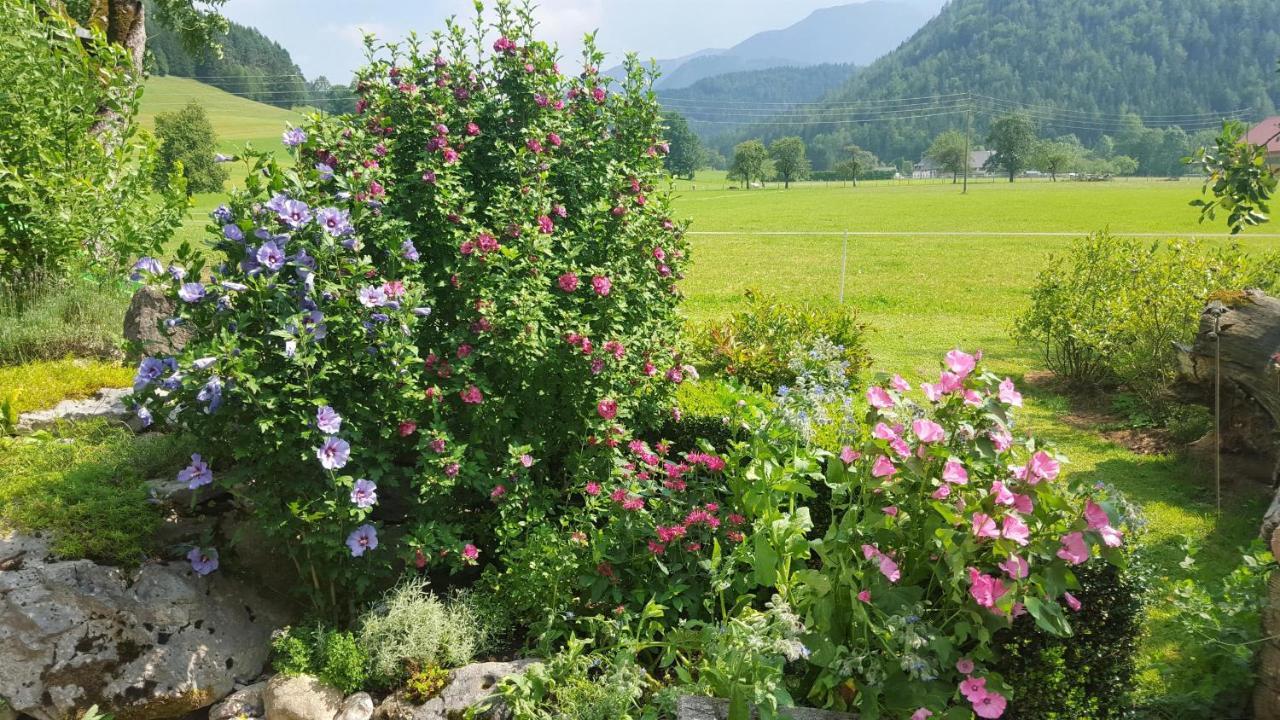 Gausrab Villa Hinterstoder Bagian luar foto