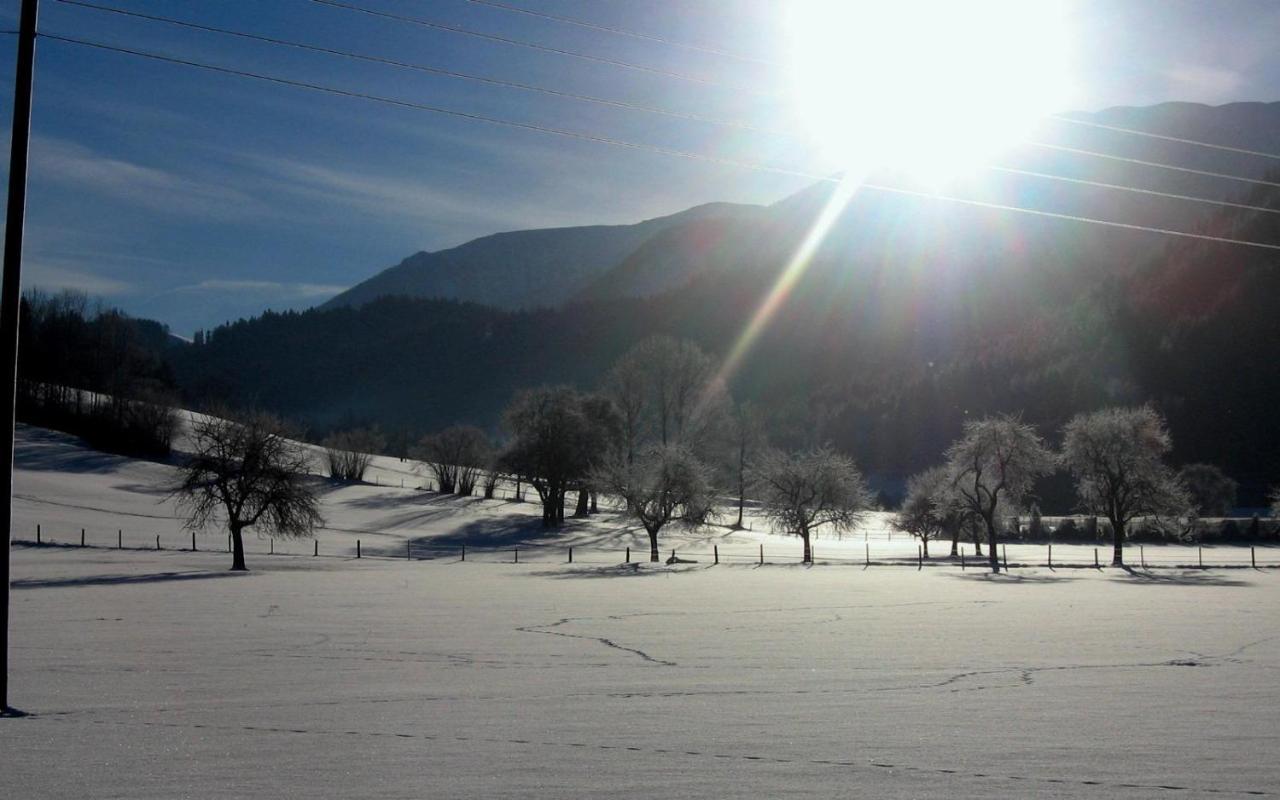 Gausrab Villa Hinterstoder Bagian luar foto