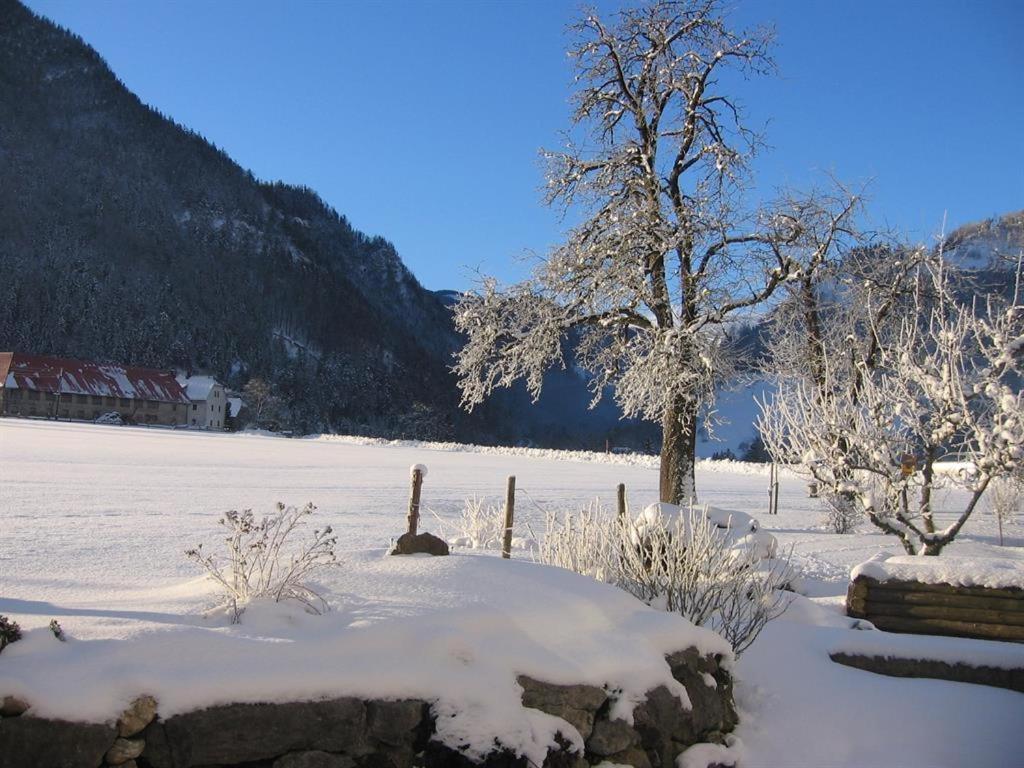 Gausrab Villa Hinterstoder Bagian luar foto